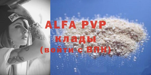 a pvp Бородино